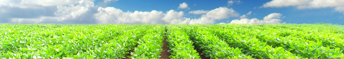 Agricultural Products