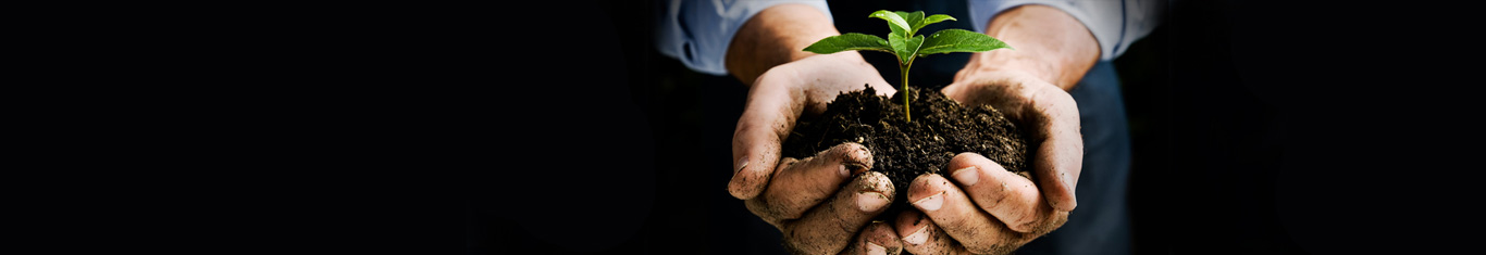 Sustainability Strategy